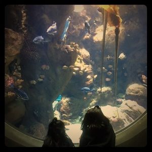 Meet your Posher, Jeanne